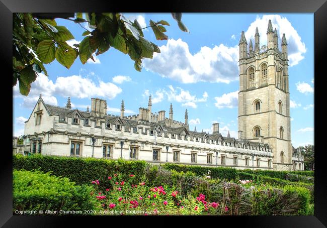 Magdalen College Oxford  Framed Print by Alison Chambers