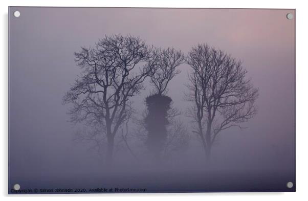 Trees in the mist Acrylic by Simon Johnson