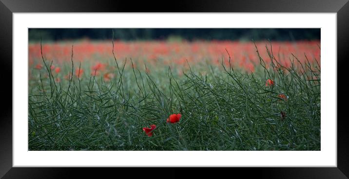Layers of Red and Green  Framed Mounted Print by Jacqui Farrell