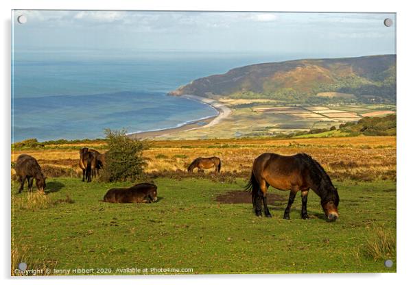 Exmoor ponies looking towards Porlock bay, Somerset Acrylic by Jenny Hibbert