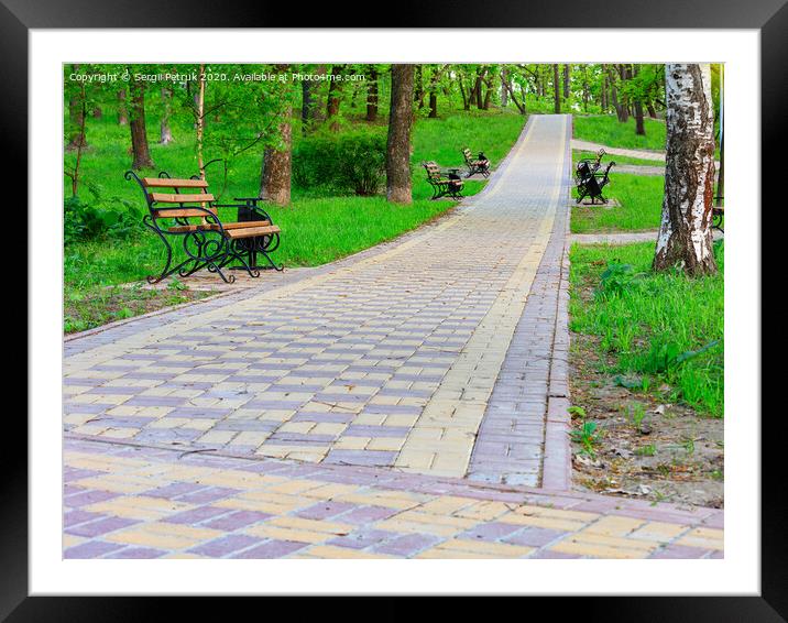 Wooden benches in a picturesque city summer park stand along and along the edges of a paved path that goes up the slope. Framed Mounted Print by Sergii Petruk