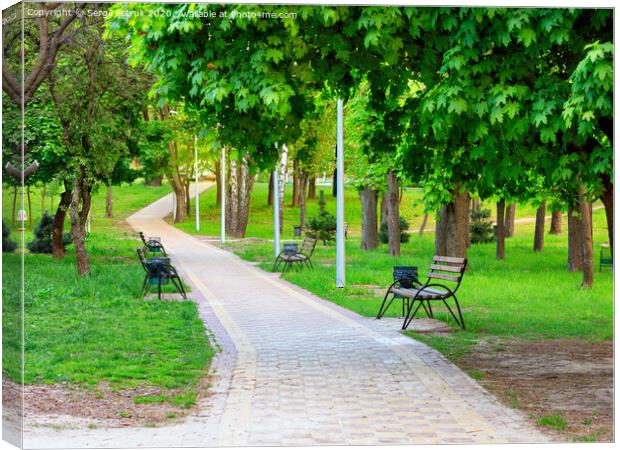 Wooden benches in a picturesque city summer park stand along a paved walkway. Canvas Print by Sergii Petruk