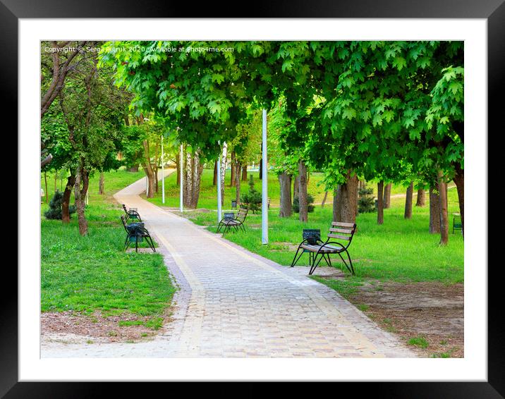 Wooden benches in a picturesque city summer park stand along a paved walkway. Framed Mounted Print by Sergii Petruk