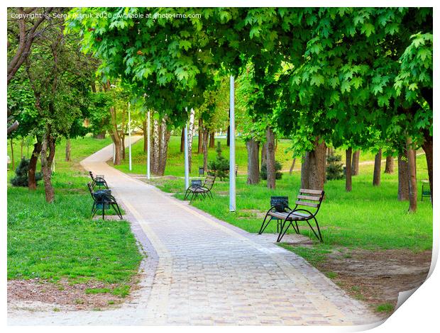 Wooden benches in a picturesque city summer park stand along a paved walkway. Print by Sergii Petruk