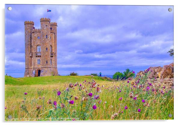 Broadway Tower in Worcestershire  Acrylic by Ian Stone