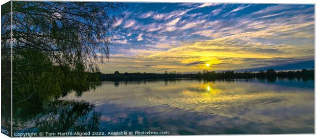 Lake sunset  Canvas Print by Tom Hartfil-Allgood