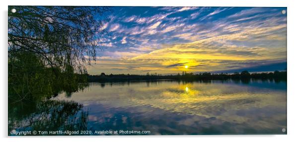 Lake sunset  Acrylic by Tom Hartfil-Allgood