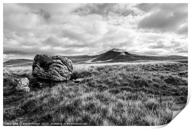 Ingleborough Erratic Yorkshire Dales Mono Print by Diana Mower