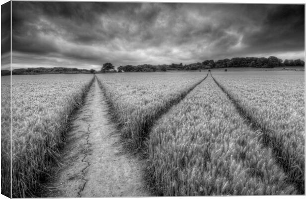 The Footpath Cookham Canvas Print by Mick Vogel