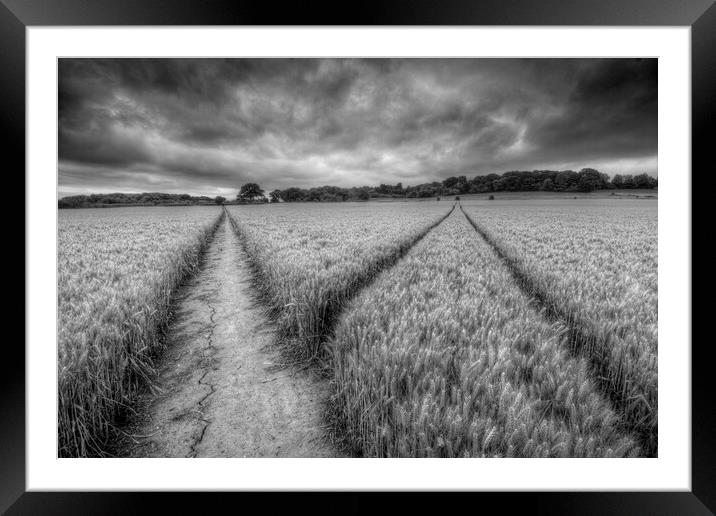 The Footpath Cookham Framed Mounted Print by Mick Vogel