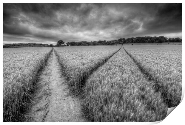 The Footpath Cookham Print by Mick Vogel