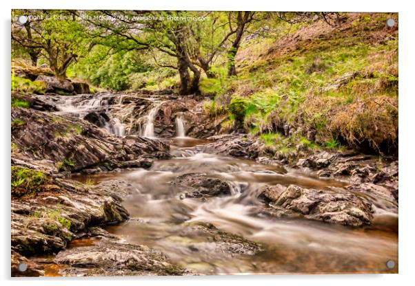 River Eiddew, Powys, Wales Acrylic by Colin & Linda McKie