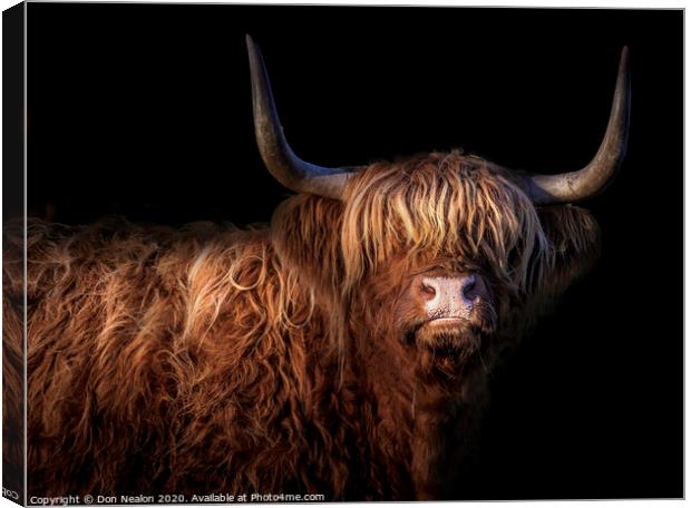 Majestic Scottish Highland Cow Canvas Print by Don Nealon
