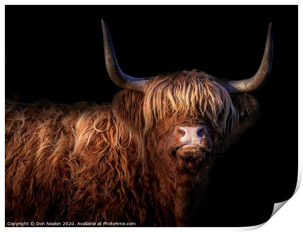 Majestic Scottish Highland Cow Print by Don Nealon