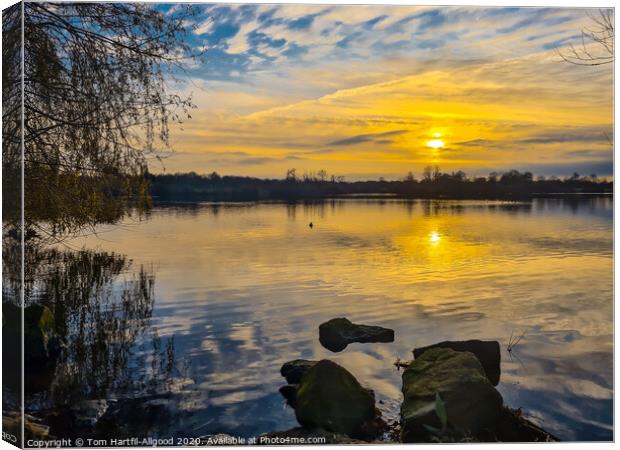 Ferry Meadows Sunset  Canvas Print by Tom Hartfil-Allgood