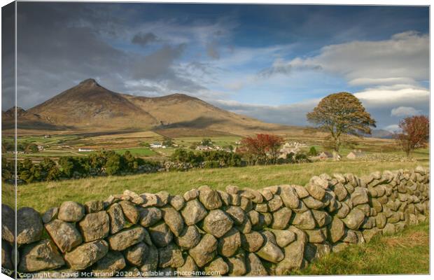 Binian and the Mournes, Northern Ireland Canvas Print by David McFarland