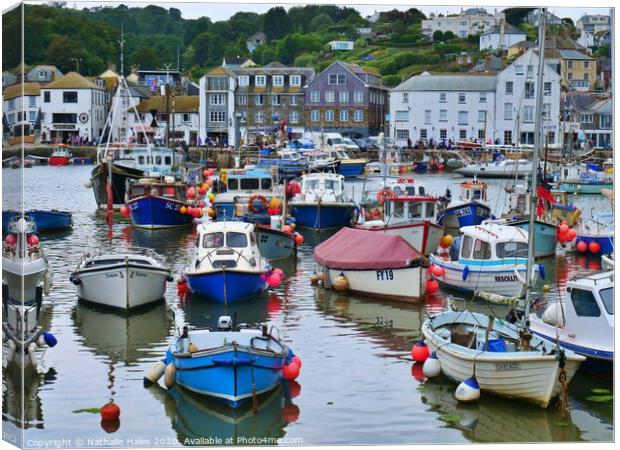 Mevagissey view from the harbour Canvas Print by Nathalie Hales