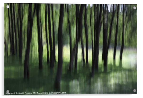 Woodland Tree Blur Abstract Acrylic by David Forster