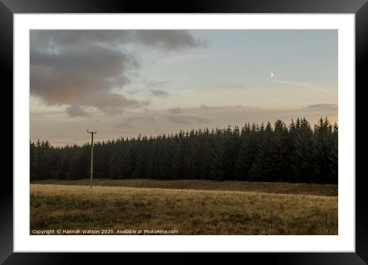 Tree Line and Power Line Framed Mounted Print by Hannah Watson