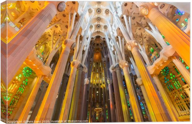 The interior of Sagrada Familia, the cathedral designed by Gaudi in Barcelona, Catalonia Canvas Print by Pere Sanz