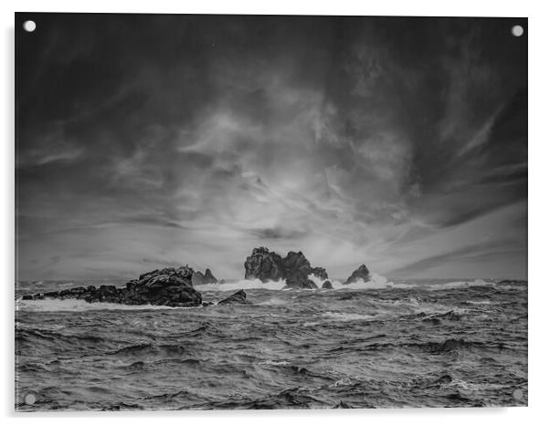 Cormorant Rock Acrylic by David Martin