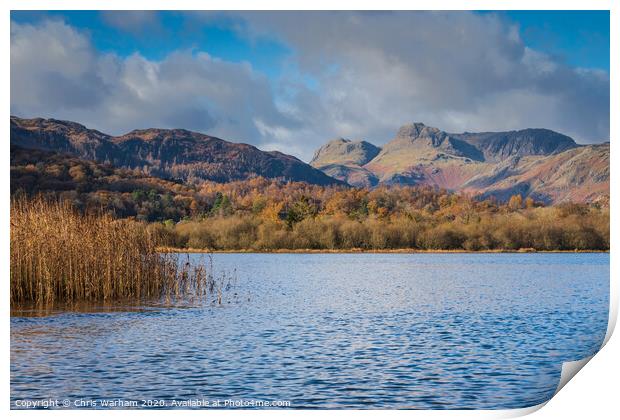 Elterwater Langdale Lake District  Print by Chris Warham