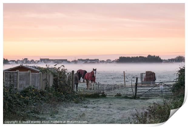 Waiting on a frosty morning Print by louise stanley