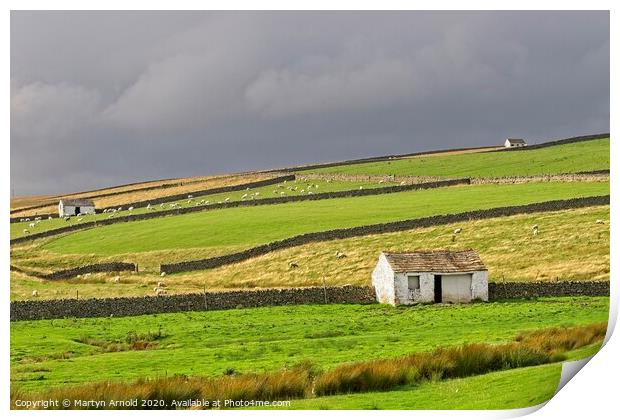 Teesdale Landscapes Print by Martyn Arnold