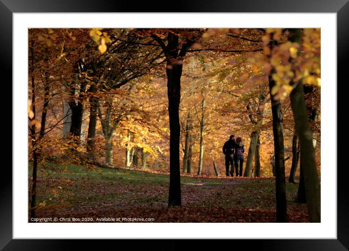 Autumn Stroll Framed Mounted Print by Chris Bos