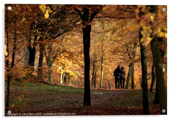 Autumn Stroll Acrylic by Chris Bos