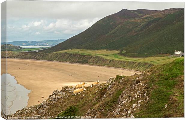 Looking across Rhossili bay on the Gower Peninsular Canvas Print by Jenny Hibbert