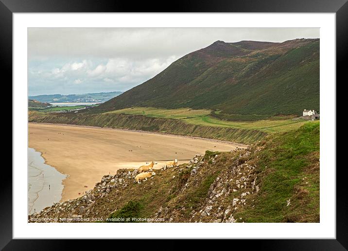 Looking across Rhossili bay on the Gower Peninsular Framed Mounted Print by Jenny Hibbert