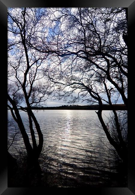 Fontburn Resevoir Rothbury Northumberland Framed Print by David Thompson