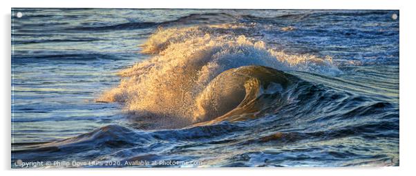 Golden Wave Acrylic by Phillip Dove LRPS
