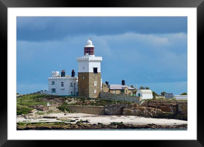 Coquet Island Lighthouse Northumberland Coast Framed Mounted Print by David Thompson