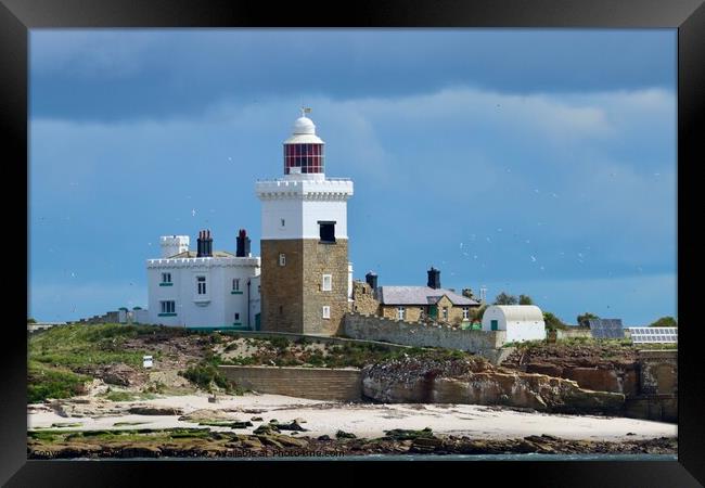 Coquet Island Lighthouse Northumberland Coast Framed Print by David Thompson