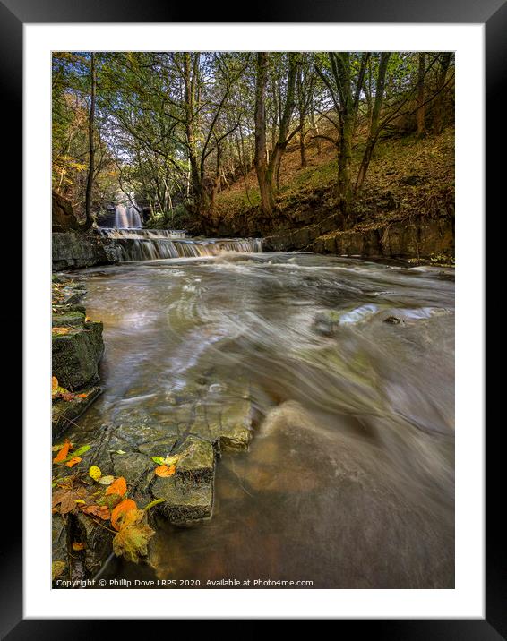 Bowlees in Autumn Framed Mounted Print by Phillip Dove LRPS