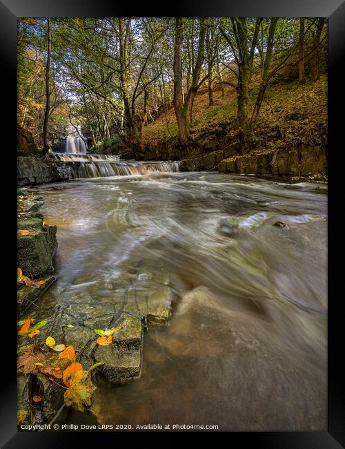 Bowlees in Autumn Framed Print by Phillip Dove LRPS