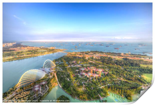 Gardens By The Bay Singapore Print by David Pyatt