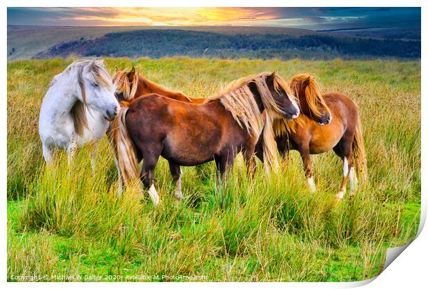 Wild Horses on The Brecon Beacons at Sunset Print by Michael W Salter