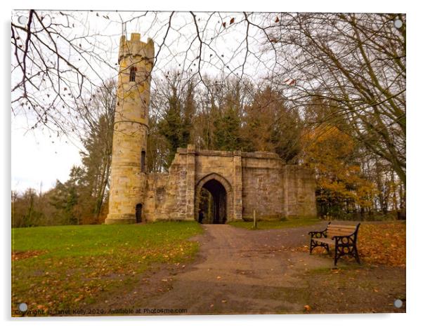 Historic castle in Hardwick Park Acrylic by Janet Kelly