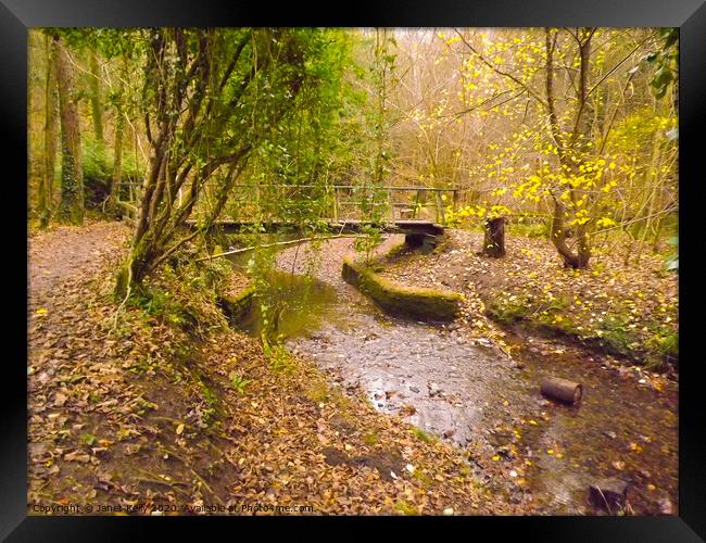 Autominal forest Scene in Castle Eden Dene Framed Print by Janet Kelly