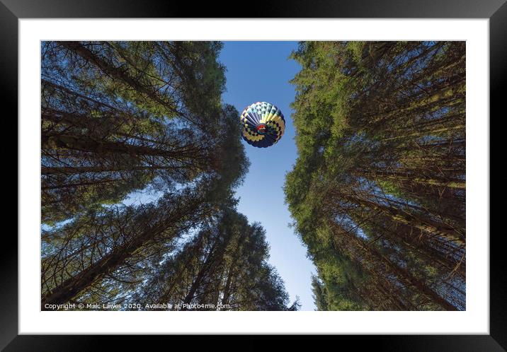 Looking up Framed Mounted Print by Malc Lawes