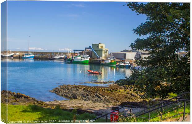 Trawlers at the quayside at Ardglass Harbour North Canvas Print by Michael Harper
