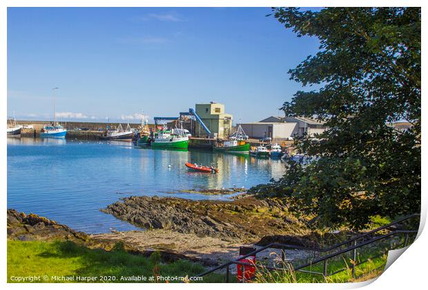 Trawlers at the quayside at Ardglass Harbour North Print by Michael Harper