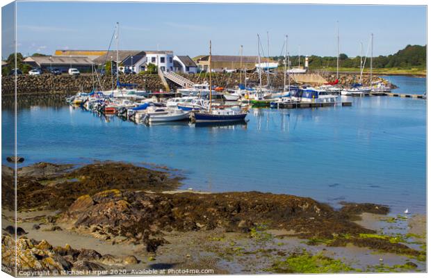The small marina at Ardglass County Down in Northern Ireland Canvas Print by Michael Harper