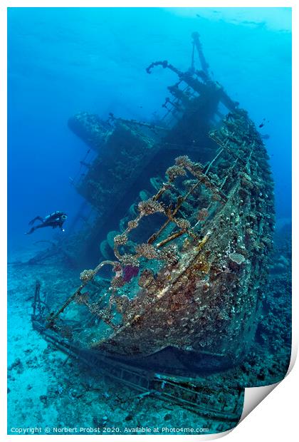 Giannis D shipwreck Print by Norbert Probst