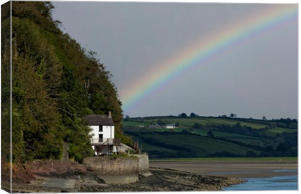 Dylans Rainbow Canvas Print by Steve Purnell