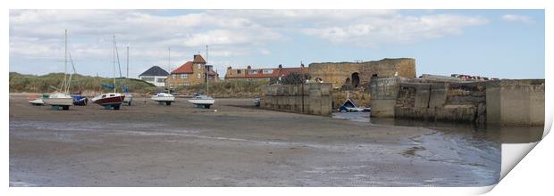 Beadnell Print by Northeast Images