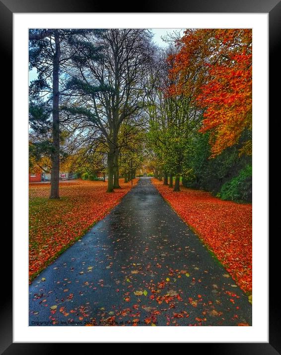 Autumn Gold Framed Mounted Print by 28sw photography